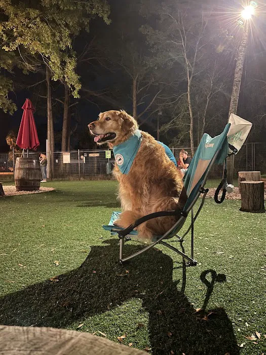 BrewHound Dog Park + Bar 5