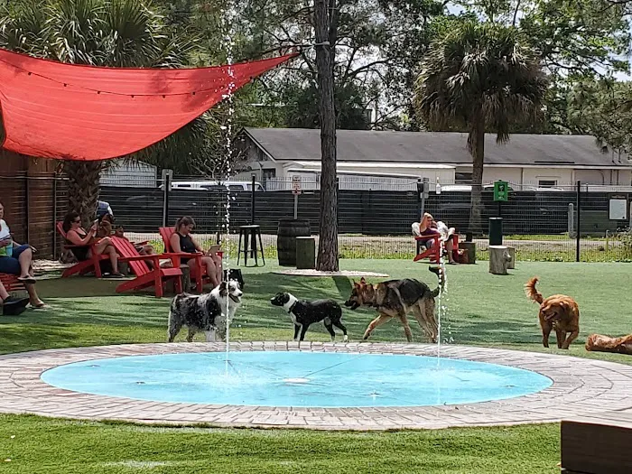 BrewHound Dog Park + Bar 2