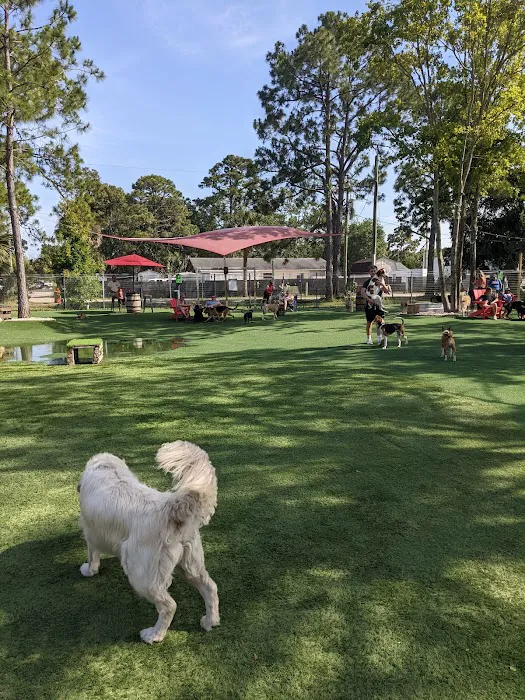 BrewHound Dog Park + Bar 4