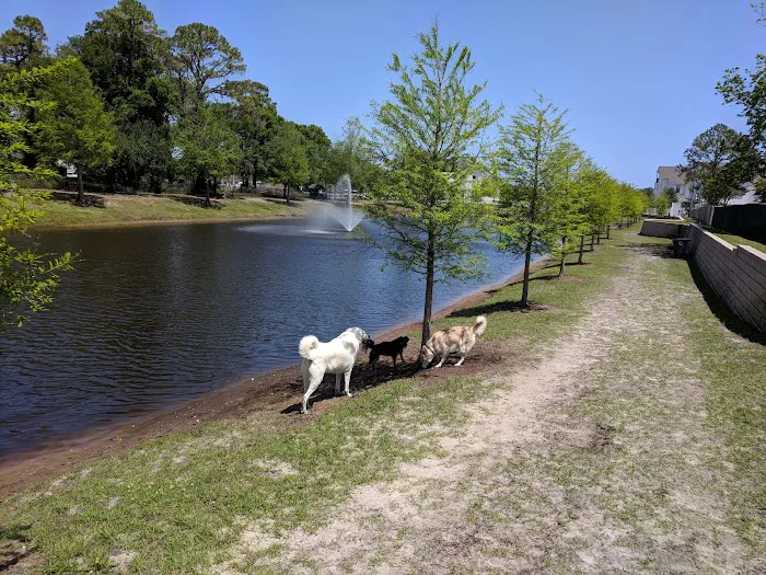 Atlantic Beach Dog Park (Members Only) 5