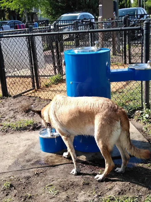 Atlantic Beach Dog Park (Members Only) 9