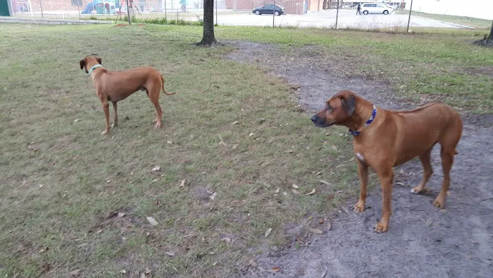 Atlantic Beach Dog Park (Members Only) 3