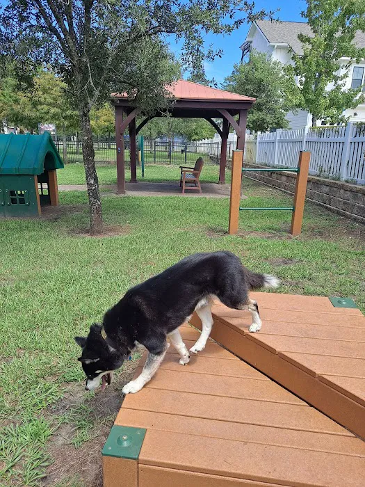Atlantic Beach Dog Park (Members Only) 7