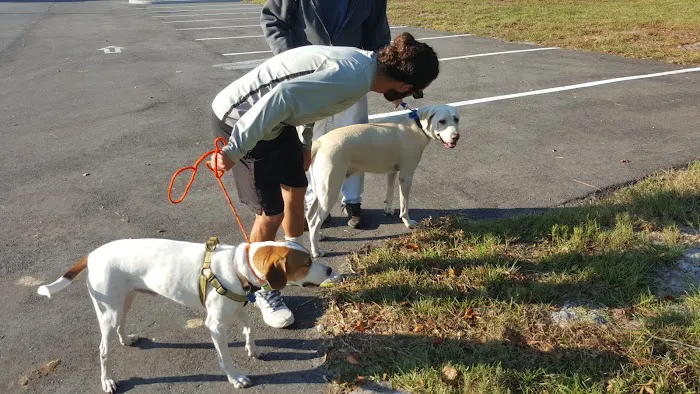 Atlantic Beach Dog Park (Members Only) 2