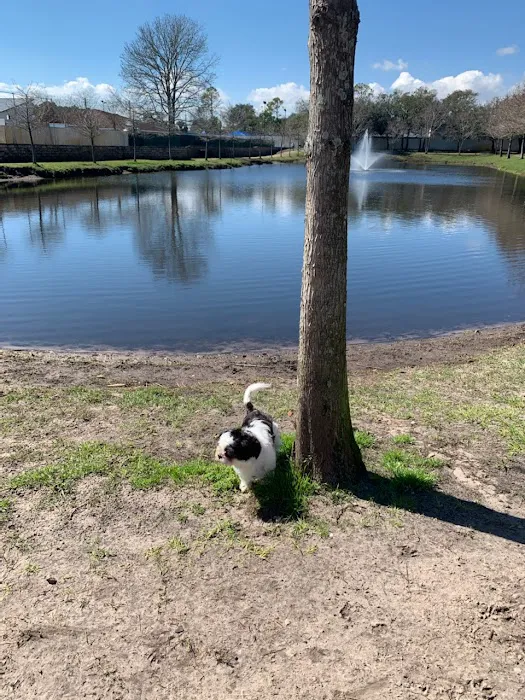 Atlantic Beach Dog Park (Members Only) 6