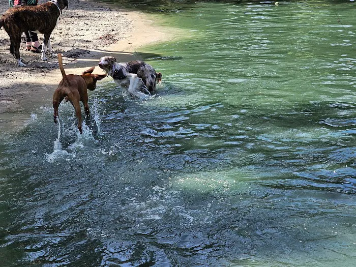 Poochie's Park 6