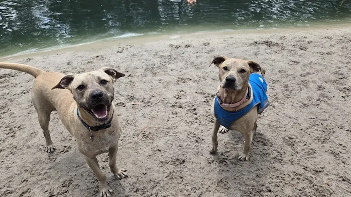 Poochie's Park 8