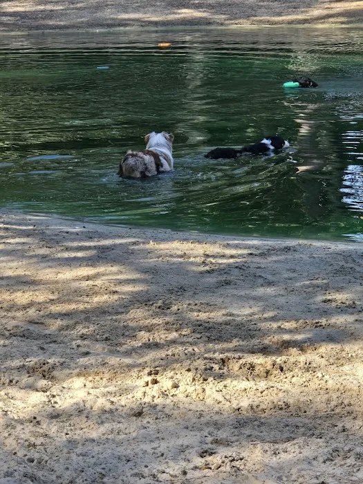 Poochie's Park 9
