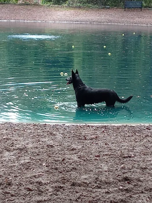 Poochie's Park 3