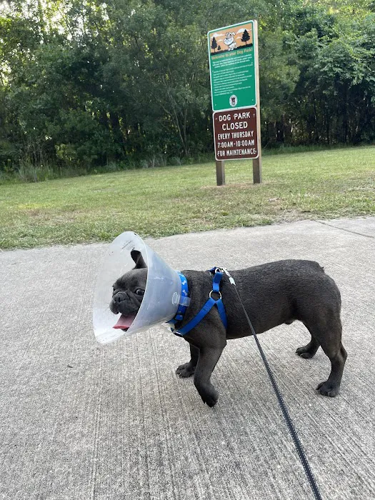 Veterans Park Dog Park 1