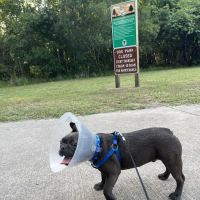 Veterans Park Dog Park ico