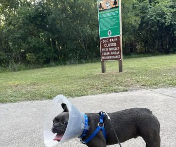 Veterans Park Dog Park
