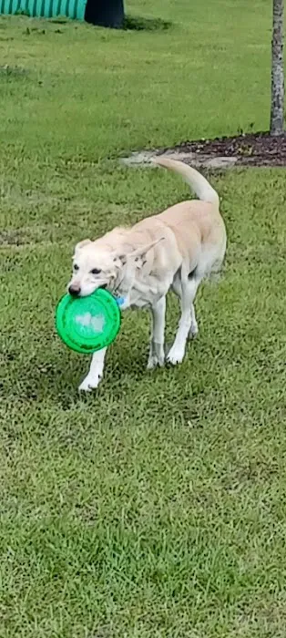 Pawsome Park (Tributary-Residents Only) 3