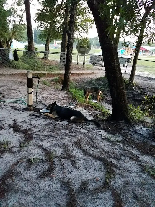 Tommy Casey Memorial Dog Park 3