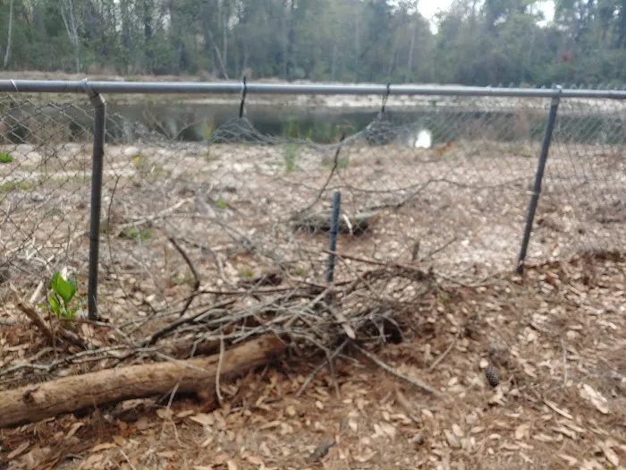 Tommy Casey Memorial Dog Park 6