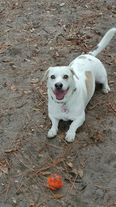Tommy Casey Memorial Dog Park 5