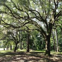 Catfish Creek Dog Park ico