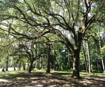 Catfish Creek Dog Park