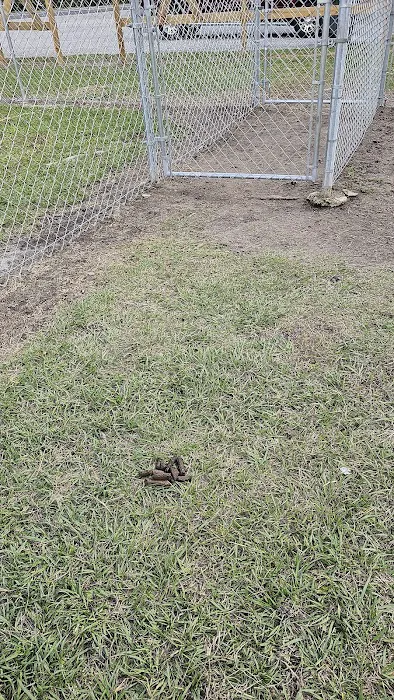 Catfish Creek Dog Park 4