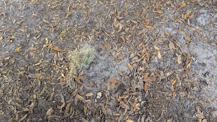 Trailmark Woof Pac Dog Park 1