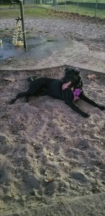 Shae Burchfield Memorial Paw Park 6