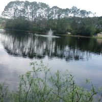 Shae Burchfield Memorial Paw Park ico