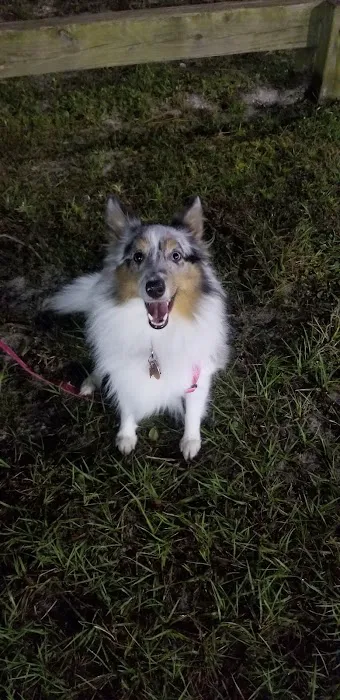 Shae Burchfield Memorial Paw Park 7