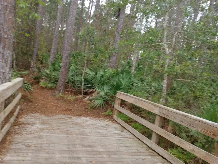 Shae Burchfield Memorial Paw Park 2