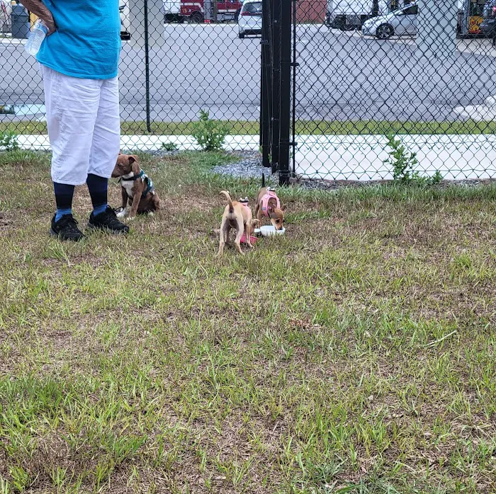 Dog Park at Love's Travel Stops 3