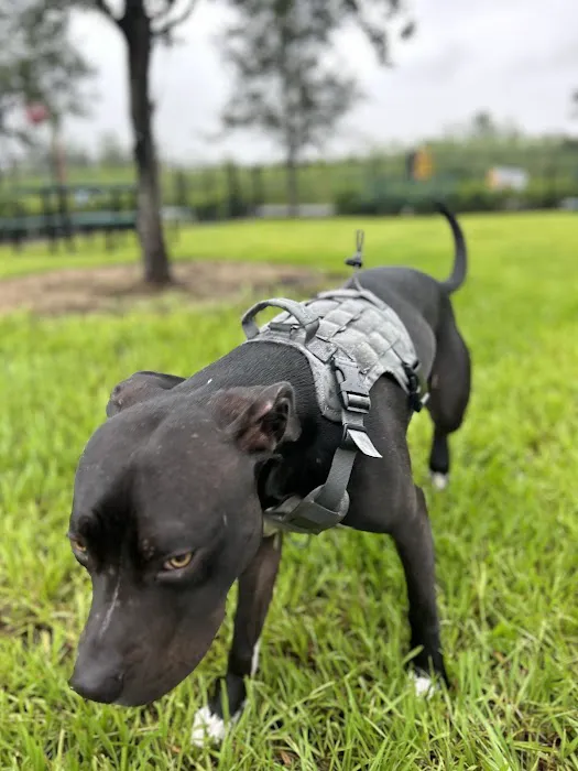 Dog Park at Love's Travel Stops 1