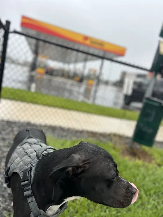 Dog Park at Love's Travel Stops 2
