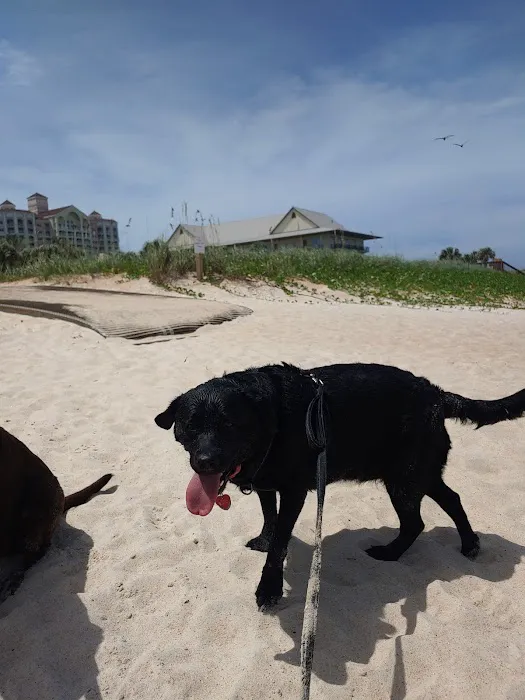 Old Salt Park Dog Friendly 4