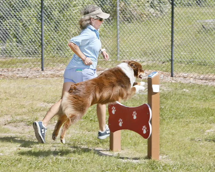 Community Public Dog Park at Halifax Humane Society, Inc. 7