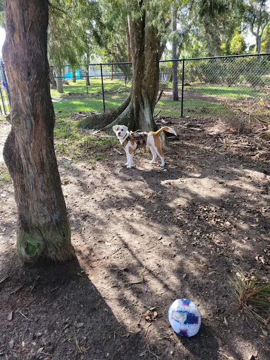 Community Public Dog Park at Halifax Humane Society, Inc. 6