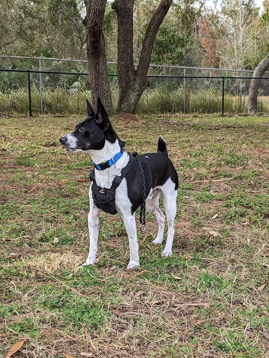 Community Public Dog Park at Halifax Humane Society, Inc. 8