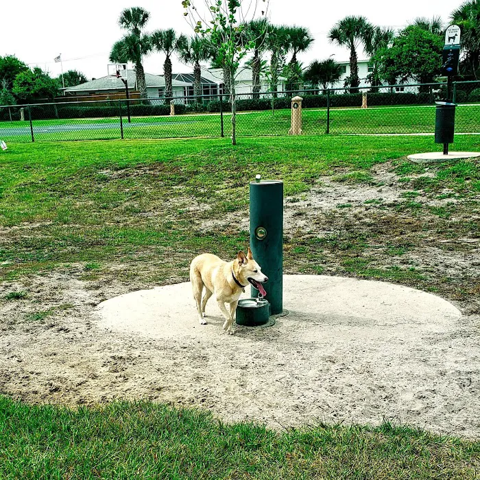 Daytona Beach Lenox Playground 9
