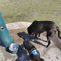 Daytona Beach Lenox Playground ico