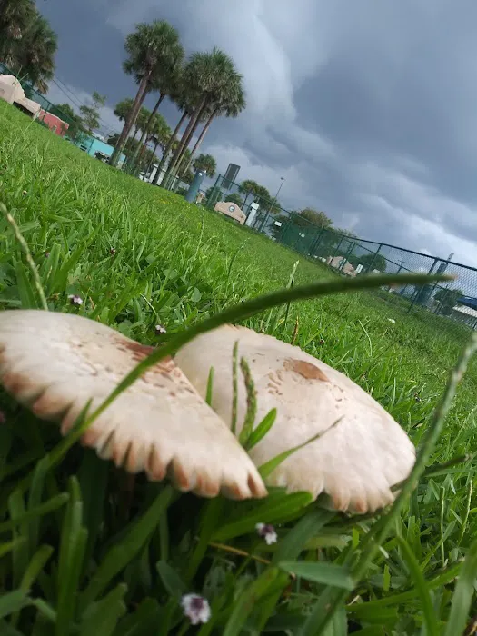 Daytona Beach Lenox Playground 10