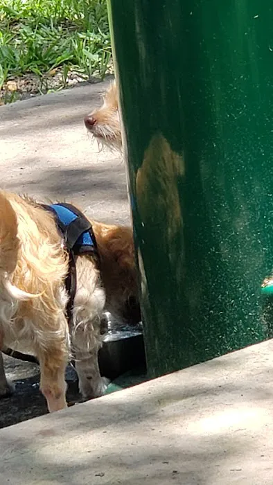 Van Alder Dog Park 5