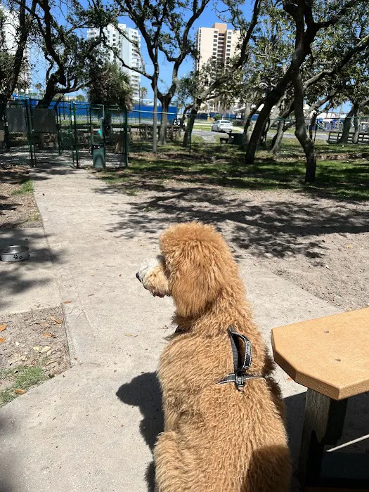 Van Alder Dog Park 7