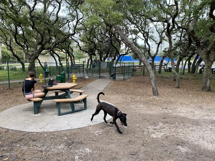Van Alder Dog Park 6