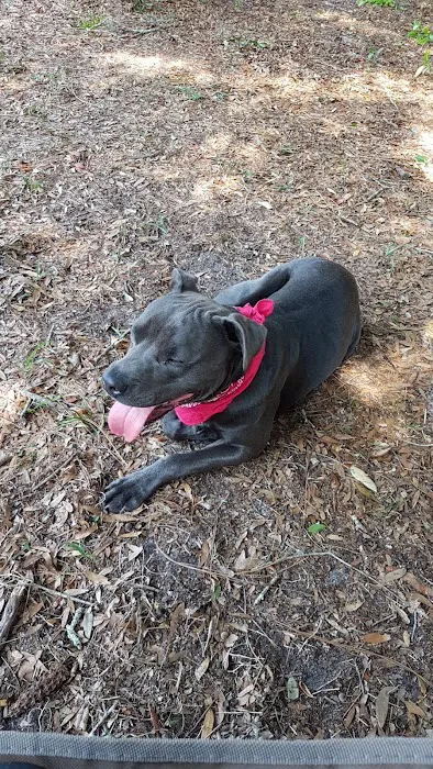 Van Alder Dog Park 8
