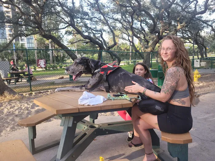 Van Alder Dog Park 9