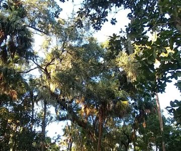 Seemor Memorial Park (Dog Park)