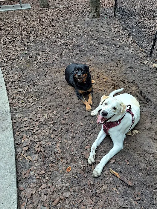 Seemor Memorial Park (Dog Park) 5
