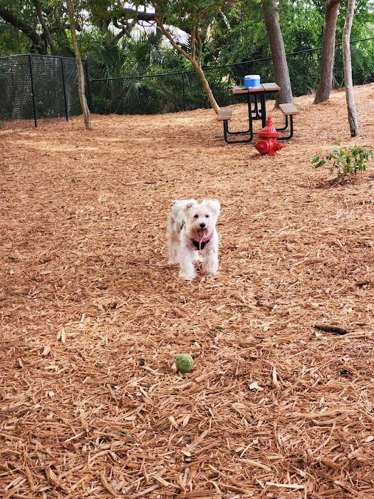Happy Tails Dog Park - Ponce Inlet 6
