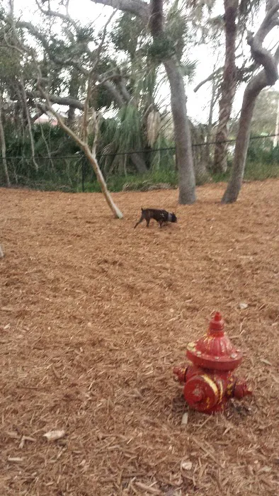 Happy Tails Dog Park - Ponce Inlet 2