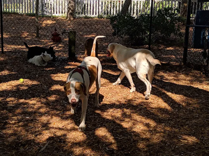 Happy Tails Dog Park - Ponce Inlet 1