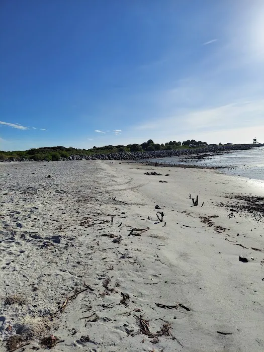 Ponce Inlet Dog Beach 5