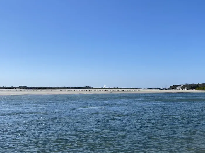 Ponce Inlet Dog Beach 1